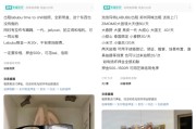 事业顺利闲鱼：LABUBU搜索量环比上涨1000%，供不应求下现租赁新形式