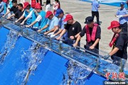 事业顺利2025年全国水生生物同步增殖放流活动在福建举行