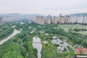 事业顺利西宁市举办六五环境日主题宣传活动