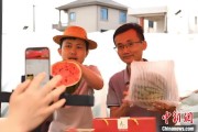 事业顺利（乡村行·看振兴）江西安福“小西瓜”撬动乡村共富“大支点”