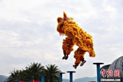 事业顺利（文化中国行）壮乡狮舞闯南洋：脚踏“云桩” 饮誉海内外